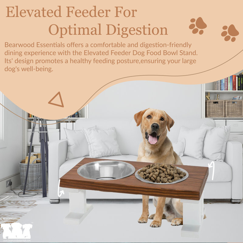 Chestnut and White Elevated Stainless Steel Pet Feeder, 8 Inch