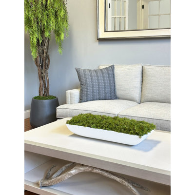 Corder Moss Arrangement In Fiberstone Planter
