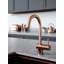 Belfry Kitchen Astoria Kitchen Faucet-829276012
