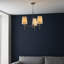 Devi 3 - Light Shaded Chandelier-1902975704