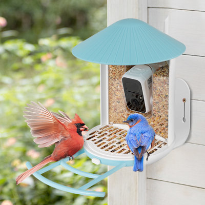 Birdfy  Guard, Anti-Scattering Cover Save , Durable Waterproof Bird Feeder Covers, Must-Have Bird Feeder Accessories, Perfect Match Birdfy Feeder, Easy To Fit And Clean (2Pcs)