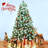 504' 100 - Bulb String Lights-186413036
