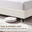 Lit tapissier Ana-131534277-129723442