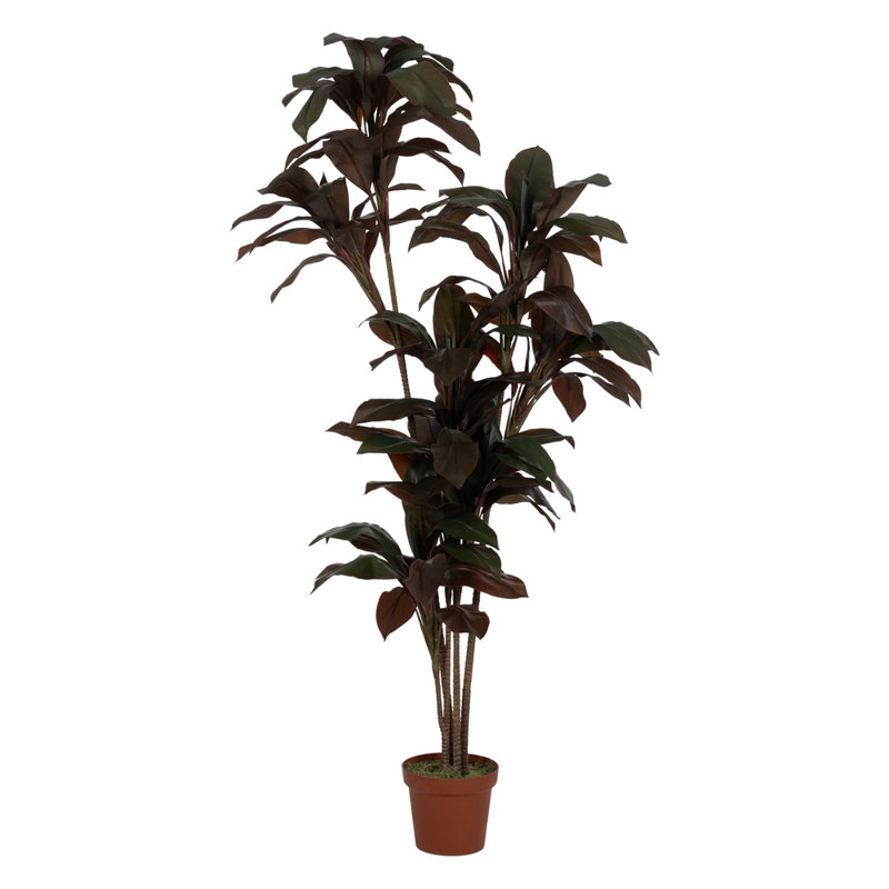 170cm Faux Plant in Pot