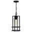 Mini-luminaire suspendu 1 lumière noir terre