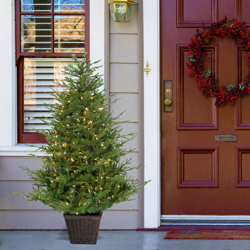 5-ft Green Pine Potted Christmas Tree with Warm White LED Lights