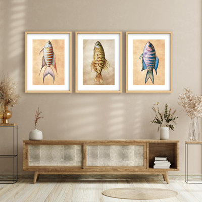 Framed Wall Art Collage Print Set, Large Trout Fish Variety Amphibians Wildlife Colorful Illustrations Decorative for Living Room, Bedroom, Office