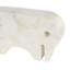 Rumy Marble Rounded Abstract Elephant Decorative White Sculpture with Gray Marble Veins and Cutouts Set