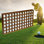 Teak Sports Rack