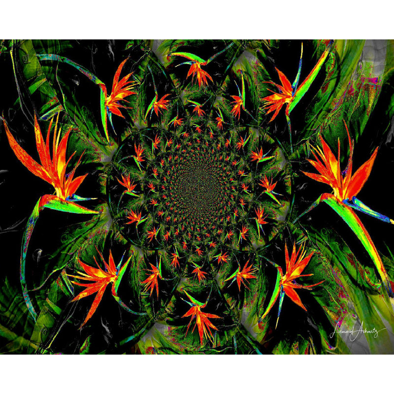 Bird Of Paradise Print by Leonard Askowitz