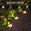 Paradise By NEX Satin Solar Powered Integrated LED Pathway Light Kit-80782279-80782281