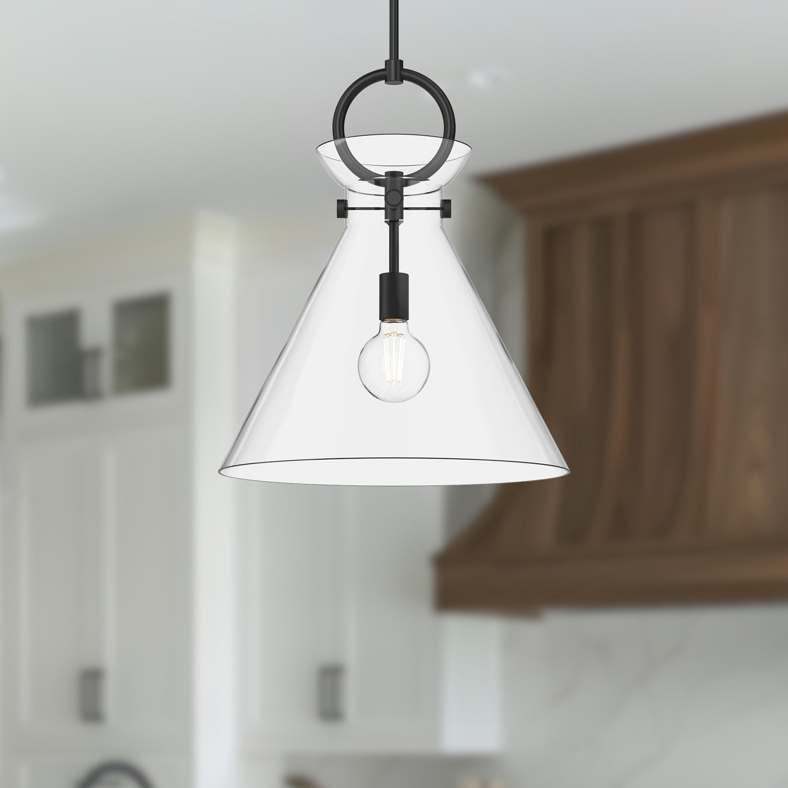Tiney Single Light Glass Steel Pendant, Matte Black/Clear, 21.75" H x 18" W x 18" D
