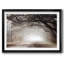 Timeless Plantation Drive-1694029287-1694029286