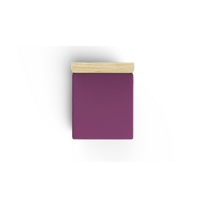 Drap-housse 100% coton Harriss, Drap-housse pour lit simple TG, Prune