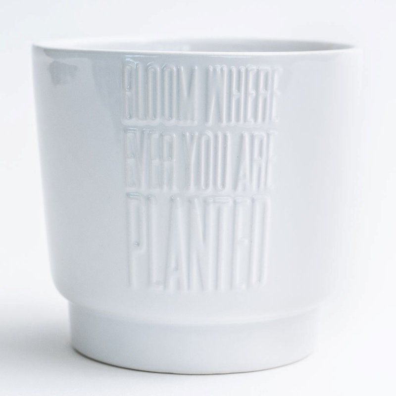 Pot à fleurs Stephan White "Bloom Where Ever You Planted", H 4,3 po x l 4,7 po x P 4,7 po