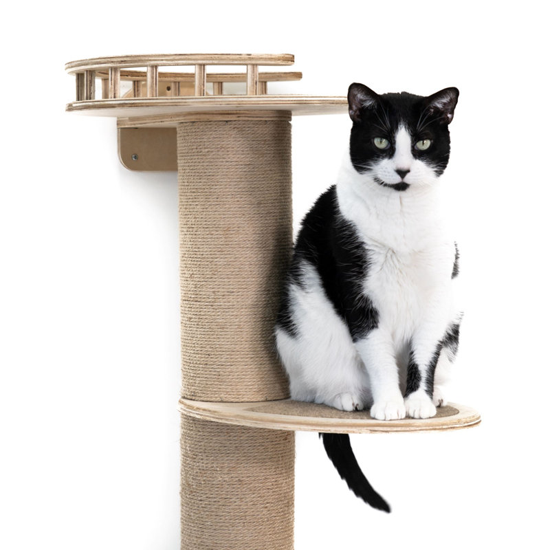 Daryanna Scratching Post