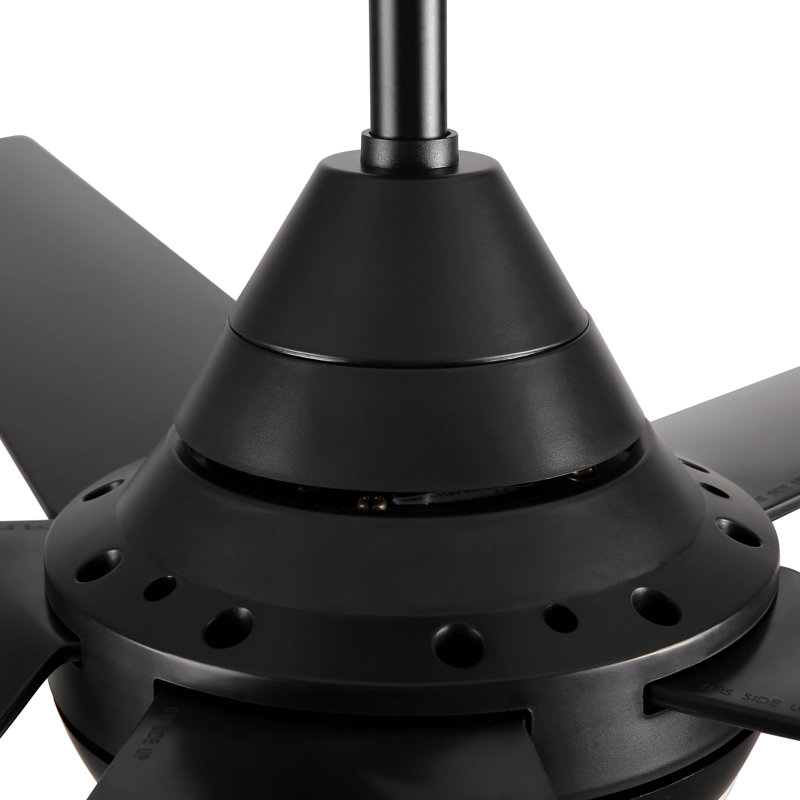 48" Modern Contemporary  Led Ceiling Fan With Remote Control, Black, Black