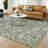 Machine Washable Indoor/Outdoor Chantille ACN2572 Floral Rug-554132769-554132792