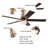 Carthel 5 - Blade 6 Speed Ceiling Fan Light with Remote Control for Bedroom Kitchen -1654484437