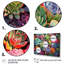 Plantes succulentes colorées, abondance de plantes grasses-711244550-711244545