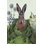 Cabbage Patch Rabbit 1