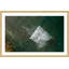 Single Picture Frame Print-18320451