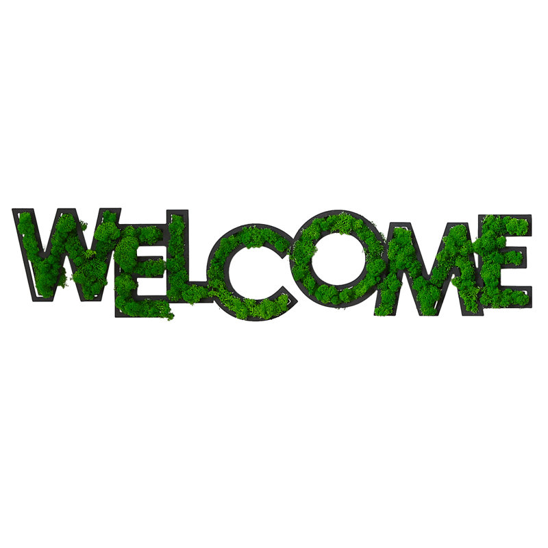 Décoration murale WELCome lettre art mousse