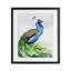 «Aphrodite Peacock Portrait», reproduction encadrée sous verre, conception de Marc Allante-2034227088-2034227102