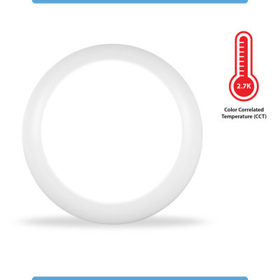 Darsy Plastic LED Flush Mount