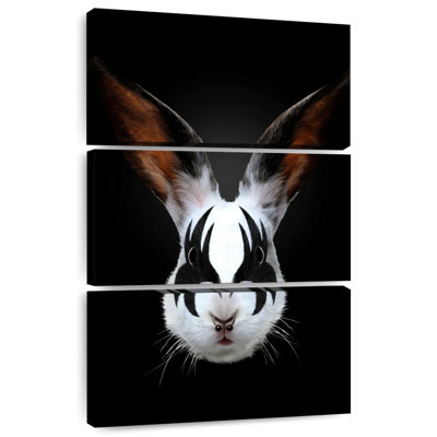 Ketti Rabbit Rocks