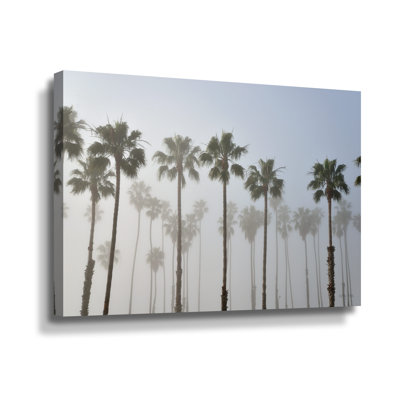 «Andromede Foggy Palms» par Kathy Yates, reproduction sur toile