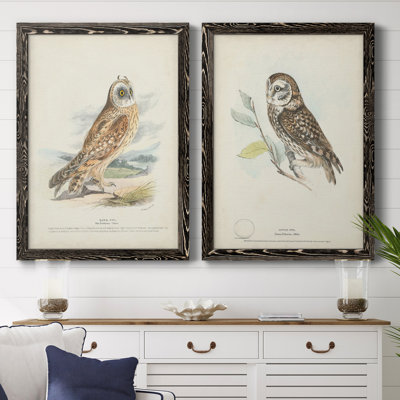 " Hawk Owl " 2 - Pieces