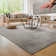 Pheobe Machine Woven Grey Indoor Rug