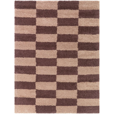 Dixon Beige/Brown Checkered Shag Area Rug