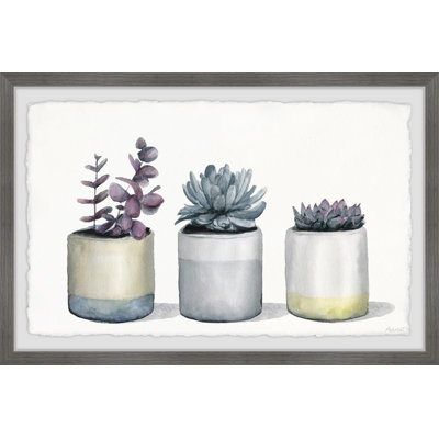 «Three P pot Succulents», reproduction encadrée