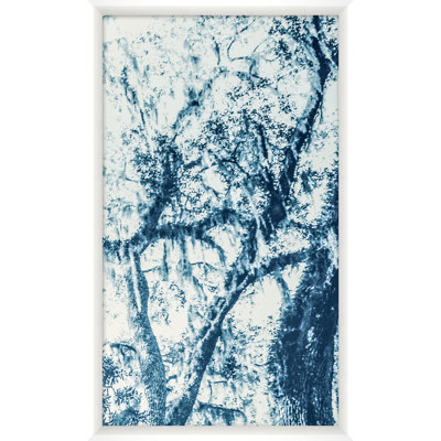 Blue Oak 4 Print by StudiObjet