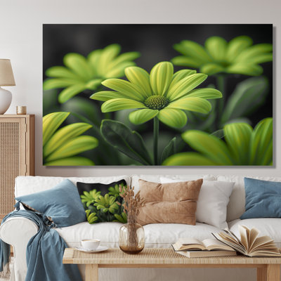 Photo de marguerites monochromes vertes et noires - salon de marguerites murales