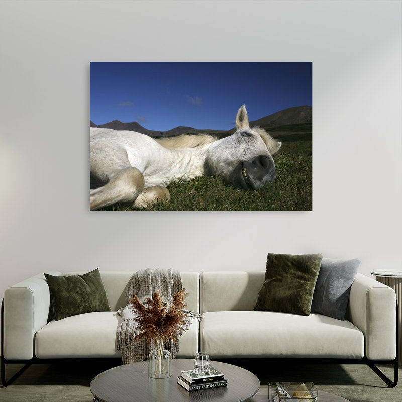 Happy Sleeping Horse Peaceful Serene Abstract Horse Landscape Mountain Wall Art Print 1 Piece Wrapped Canvas Wall Art