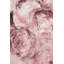 Wrapped Canvas Painting-34355881