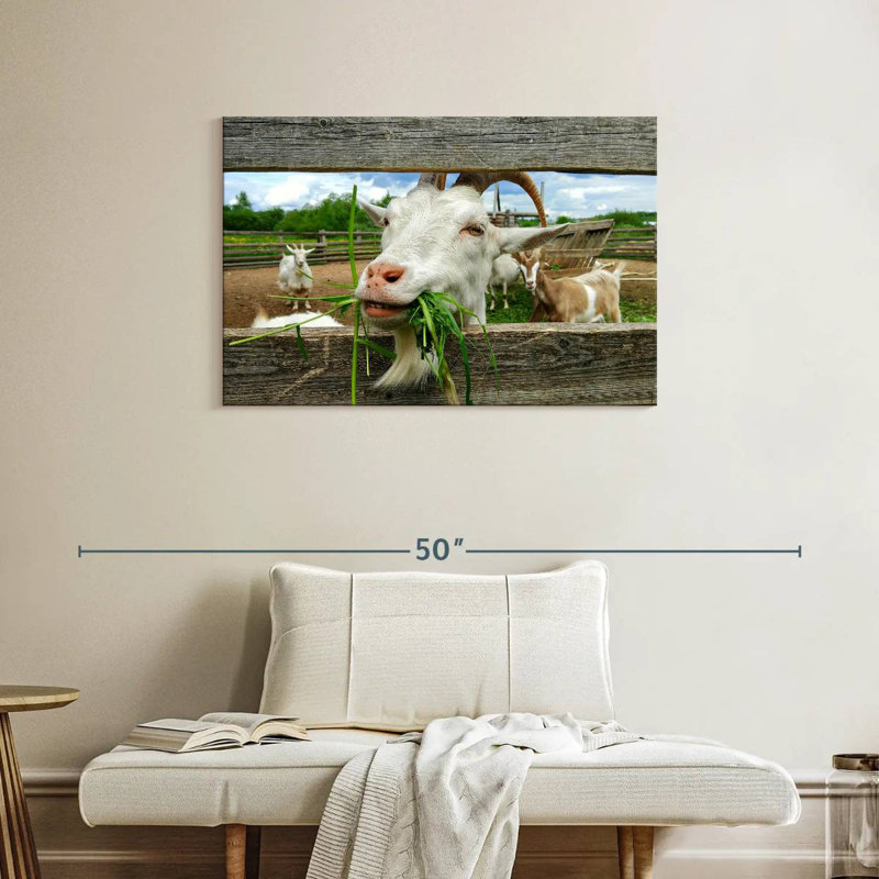 Brampt Euphoric Goat, 24" H x 36" W