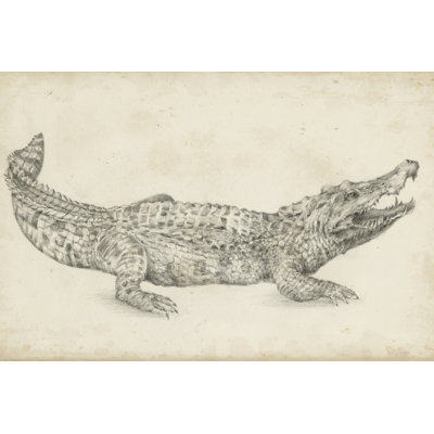 Croquis de crocodile par Ethan Harper - reproduction de dessin sur toile tendue