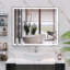 Miroir de salle de bain mural à DEL avec lumières réglables, fonction antibuée, interrupteur tactile et mémoire, idéal pour les salles de bain modernes