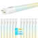 12 Watt (25 Watt Equivalent), T8 LED Tube Light, Color Selectable CCT, Type A+B, G13/Bi-pin Base