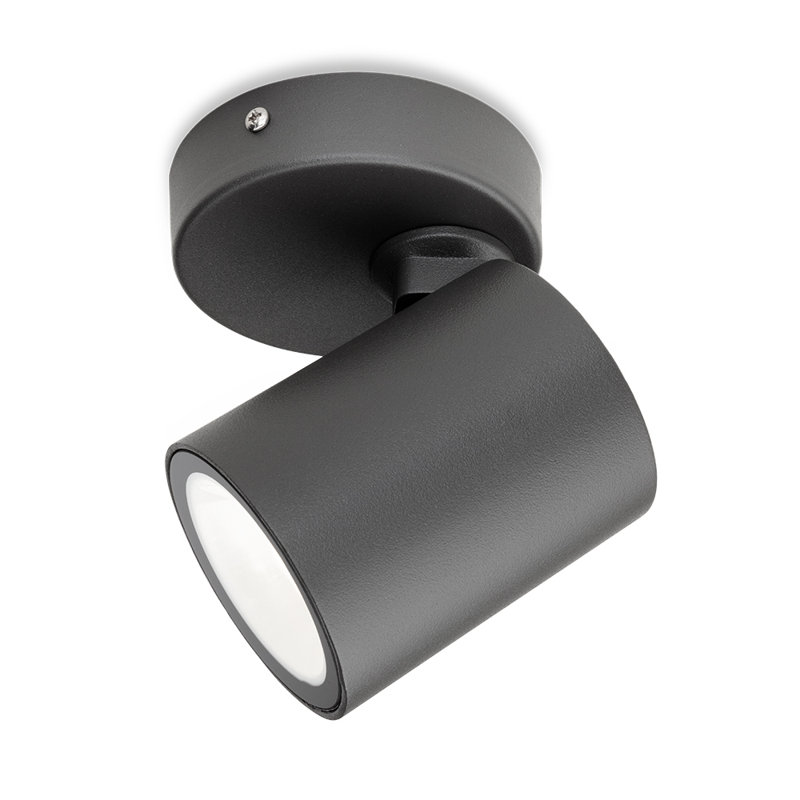 Graphite 12cm H Integrated LED Outdoor Armed Sconce