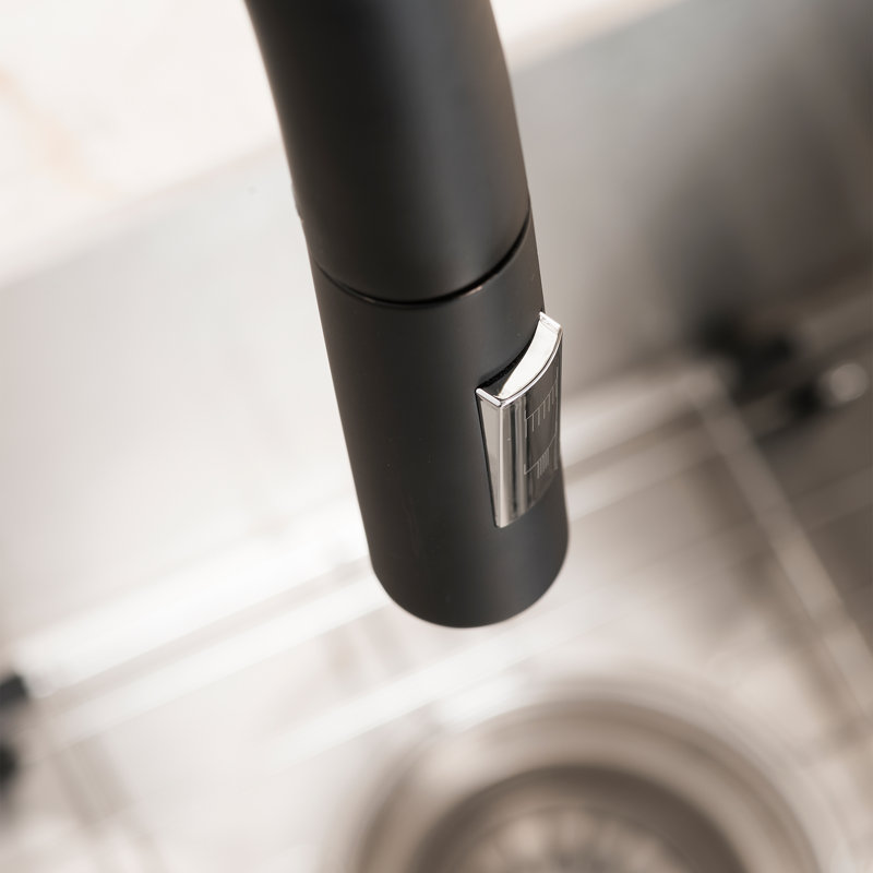 Gemini Single Handle Kitchen Faucet with Side Spray and Accessories, Matte Black