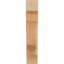 Corbeau méditerranéen-829457910-829457905-829457874