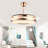 Ceiling Fan with LED Lights