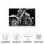 Toile pour l'extérieur «Classic Hogs II» par Ethan Harper-87945760