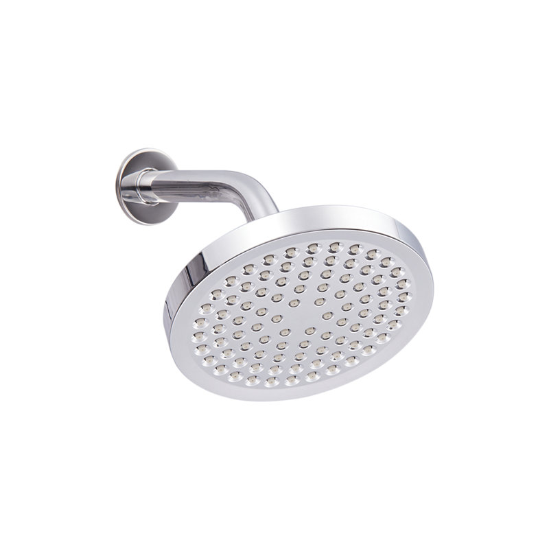 Fixed Shower Head