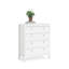 Besiana 82.1 cm W Chest of 5 Drawers-587097597
